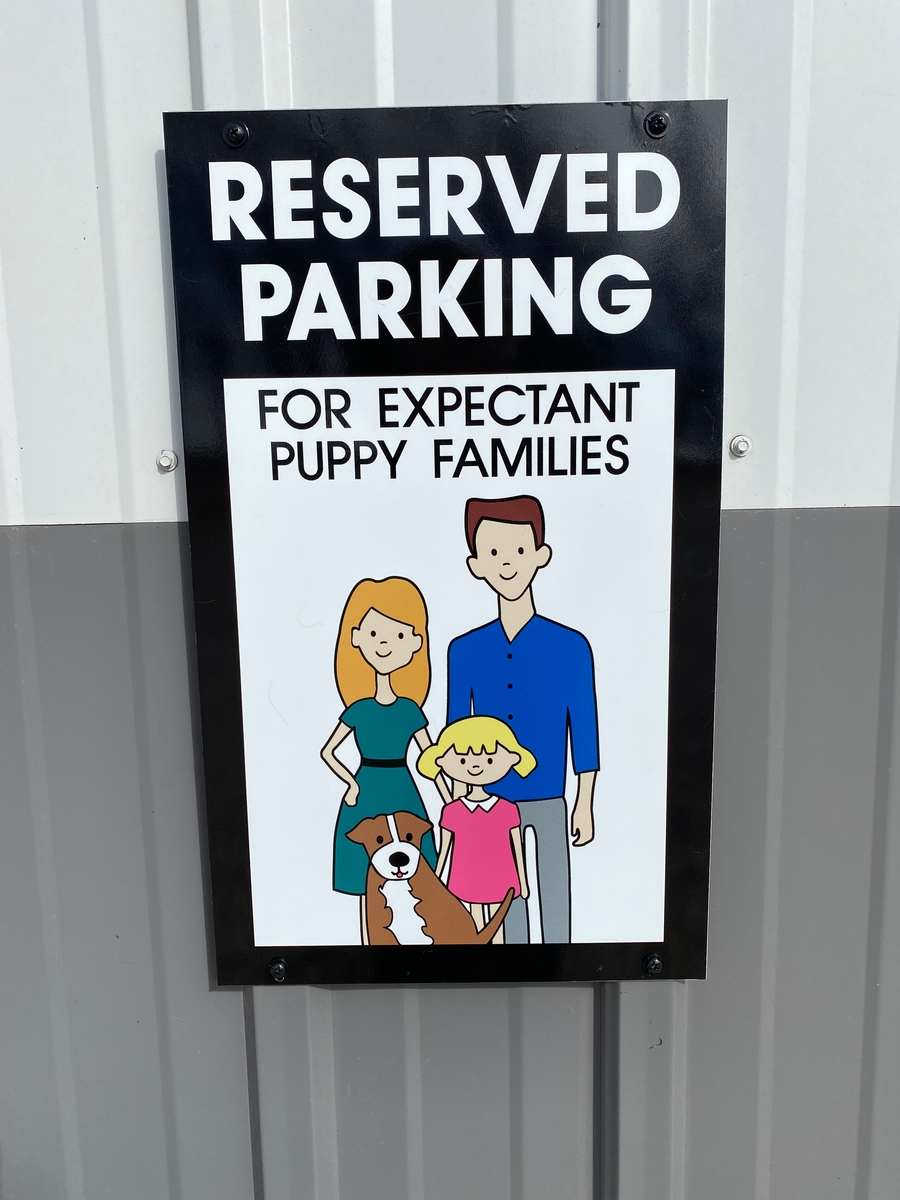 Pickup, Meet Ups, & Flight Nannies